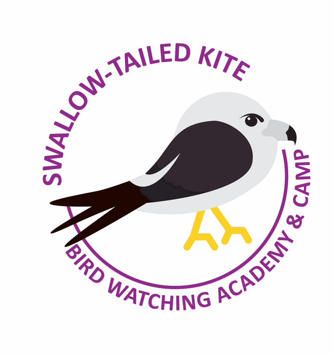 Swallow-tailed Kite