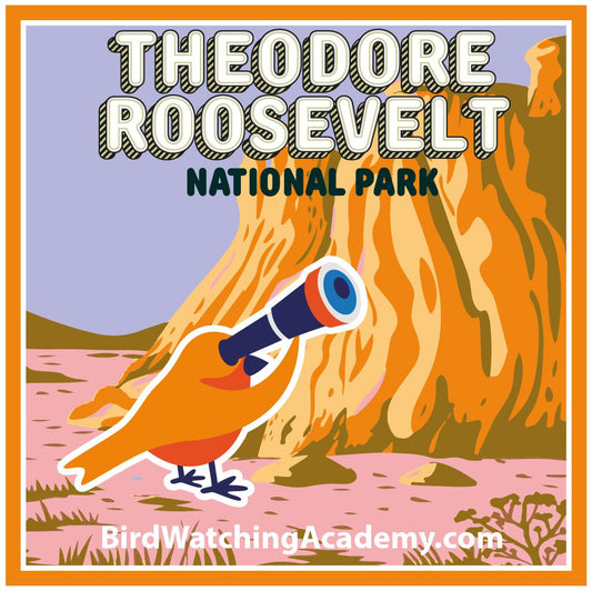 Bird Watching at Theodore Roosevelt National Park