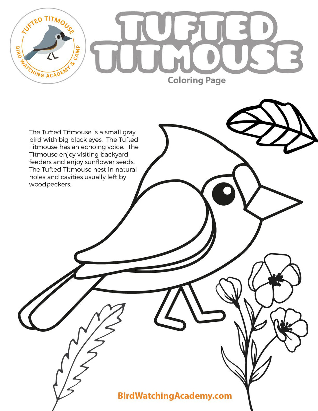 Tufted Titmouse Coloring Page