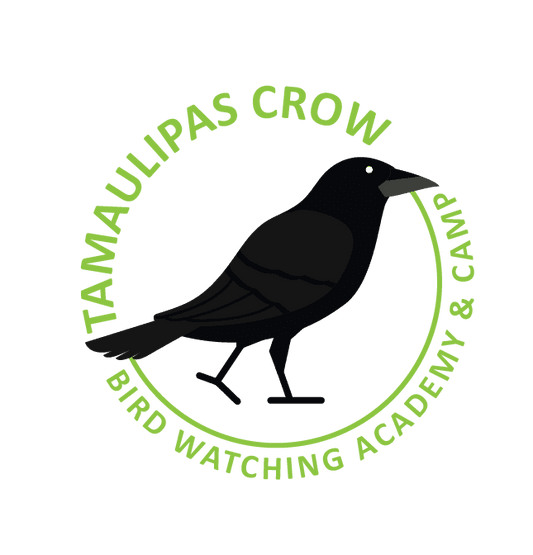 Tamaulipas Crow