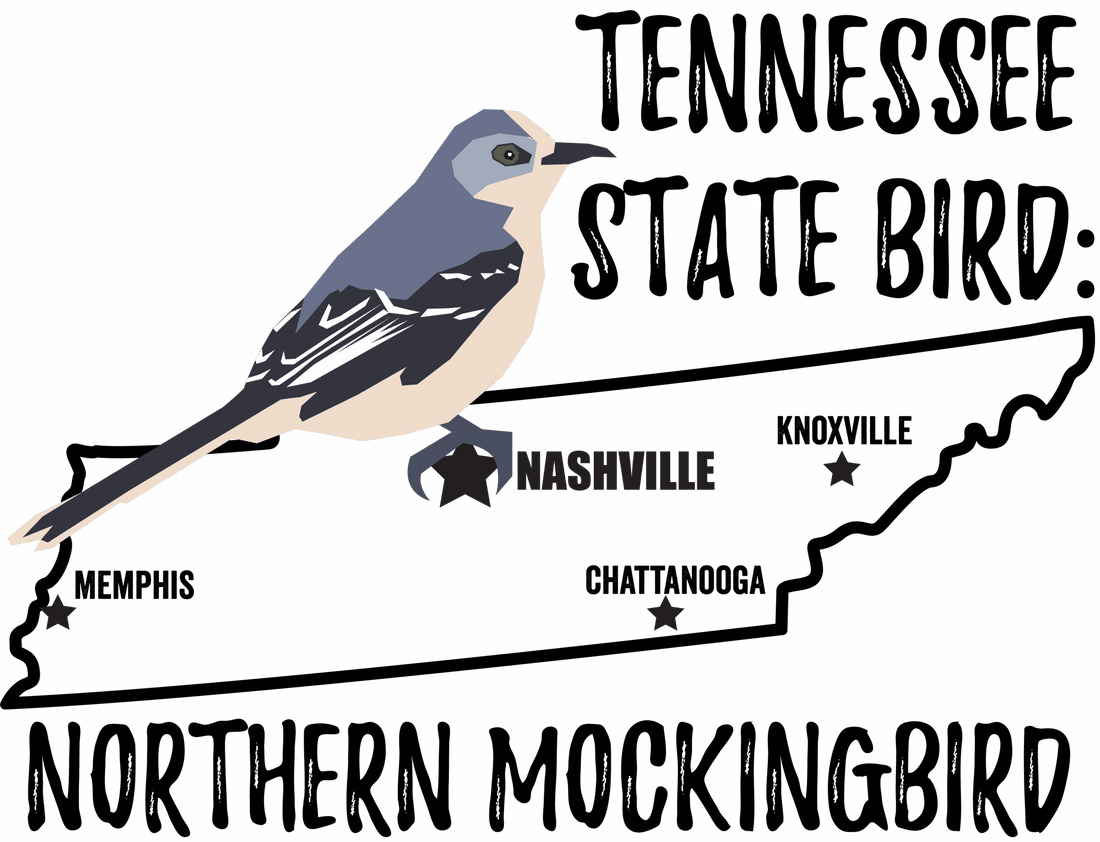 Tennessee State Bird