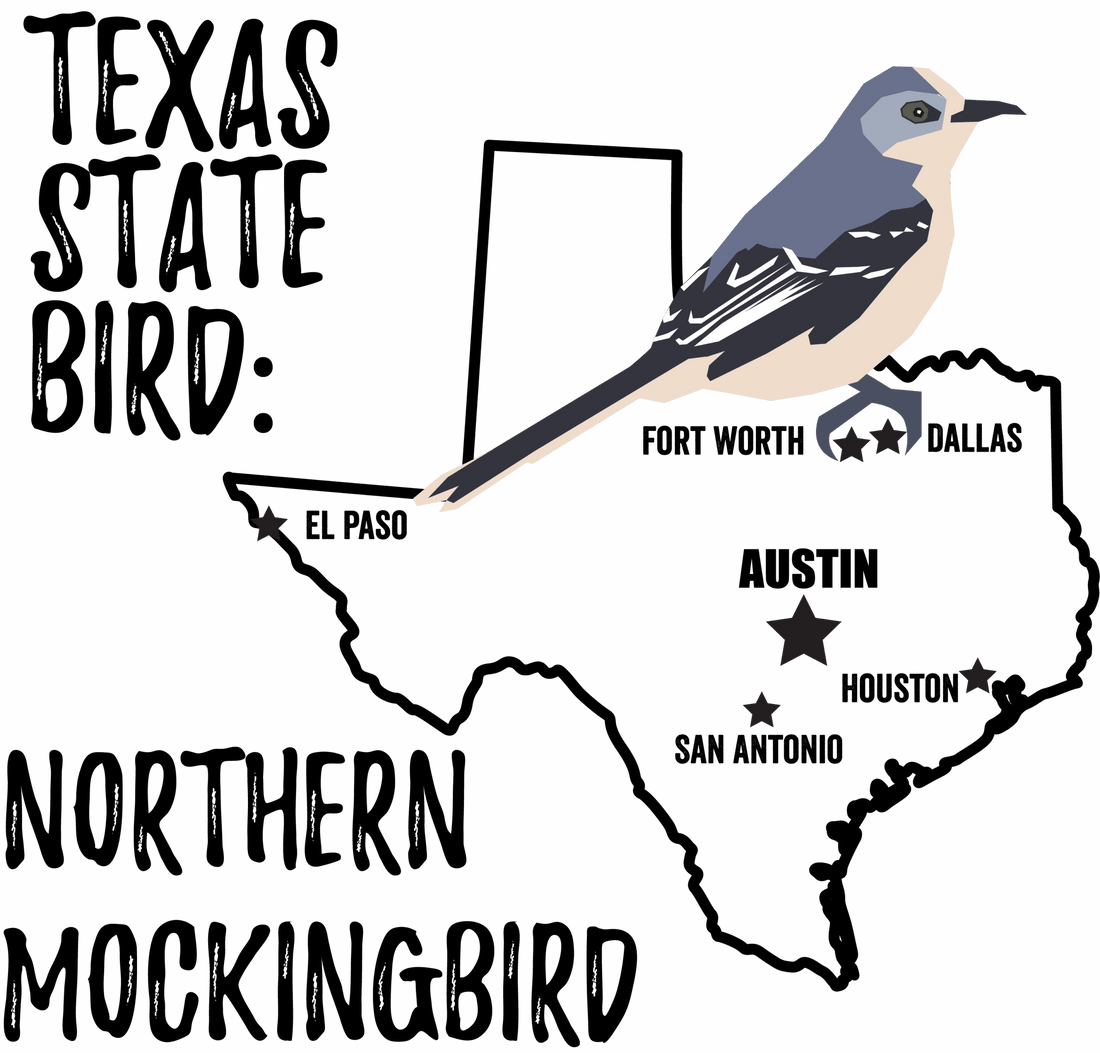 Texas State Bird