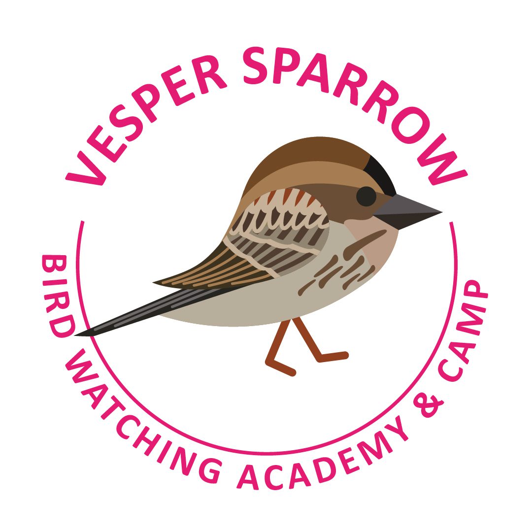 Vesper Sparrow