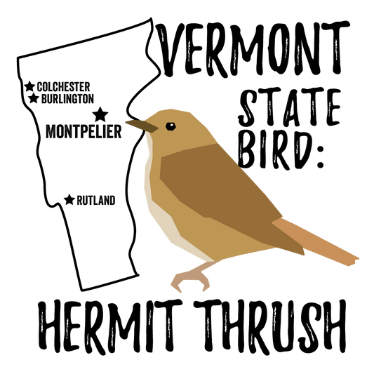 Vermont State Bird