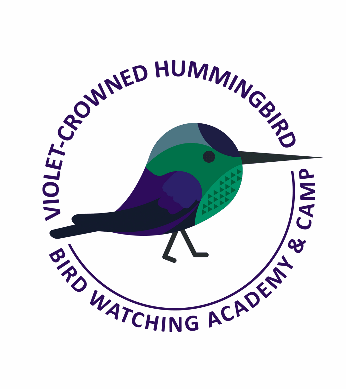 Violet-crowned Hummingbird