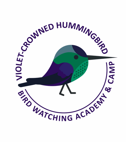 Violet-crowned Hummingbird