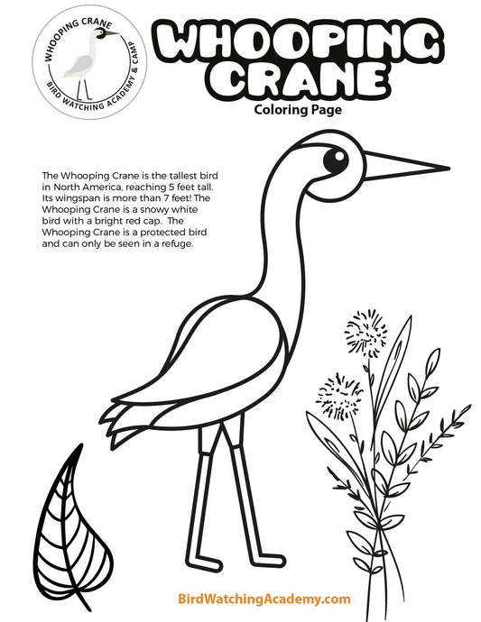 Whooping Crane Coloring Page