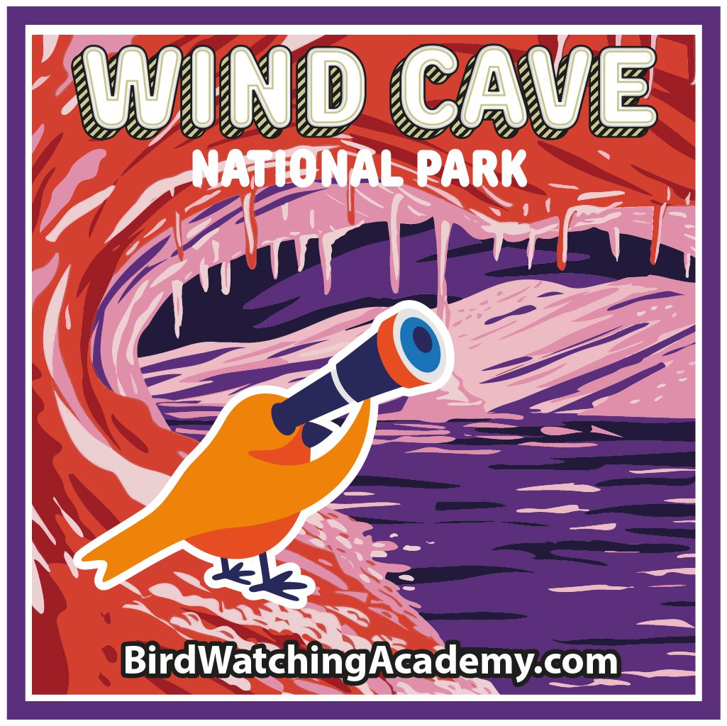 Bird Watching at Wind Cave National Park