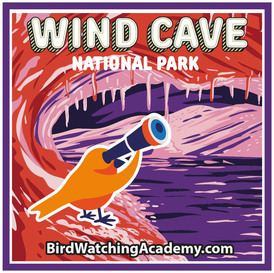 Bird Watching at Wind Cave National Park