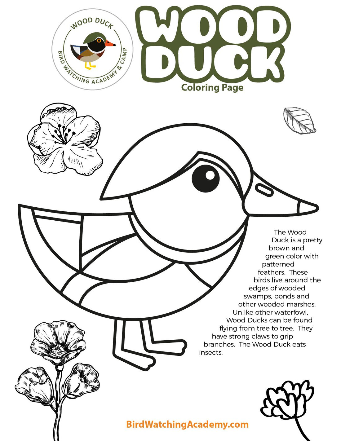 Wood Duck Coloring Page