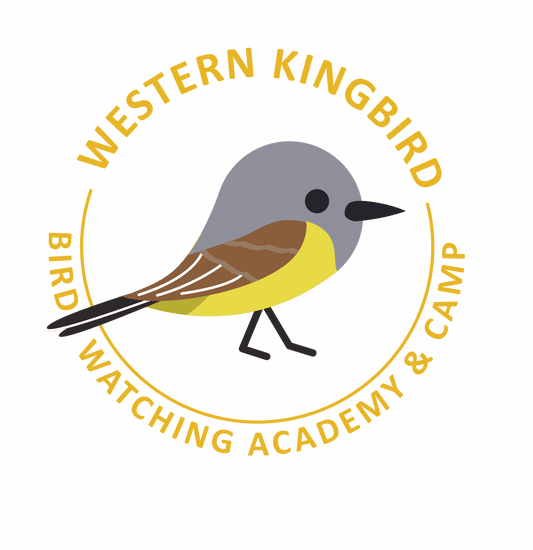 Western Kingbird