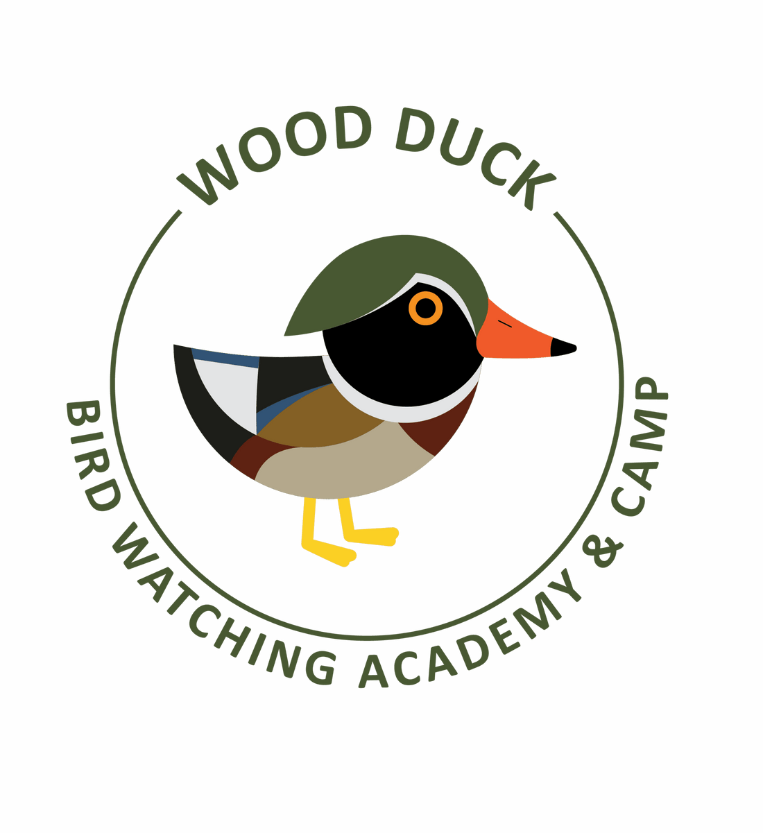 Wood Duck