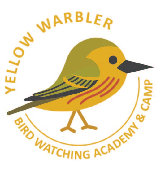 Yellow Warbler