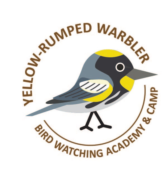 Yellow-rumped Warbler
