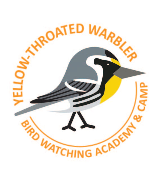 Yellow-throated Warbler