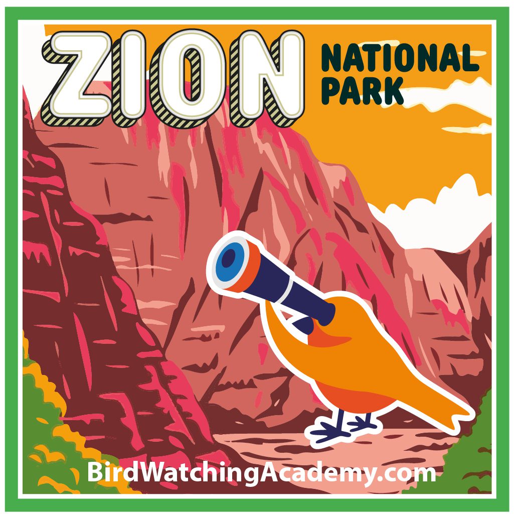 Bird Watching in Zion National Park