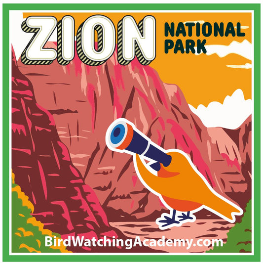 Bird Watching in Zion National Park