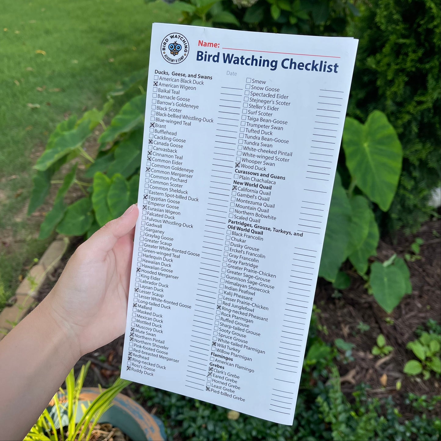 Bird Watching Life List Checklist