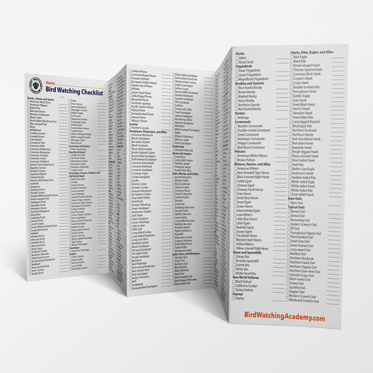 Bird Watching Life List Checklist