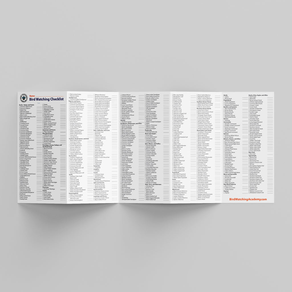 Bird Watching Life List Checklist