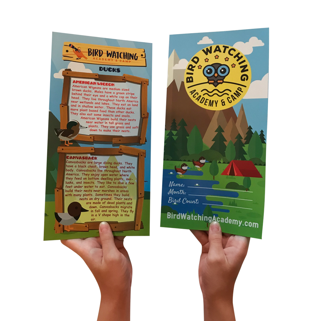 12 Month Educational Bird Program for Kids with 12 patches