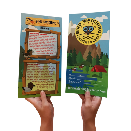 24 Week Educational Bird Program for Kids with 72 Patches