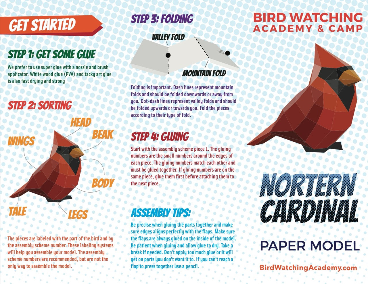 Northern Cardinal 3D Paper Craft Model