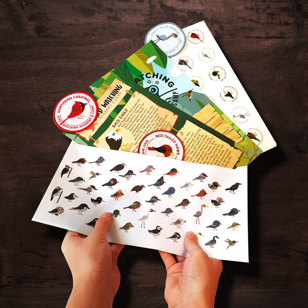 12 Month Educational Bird Program for Kids with 12 patches