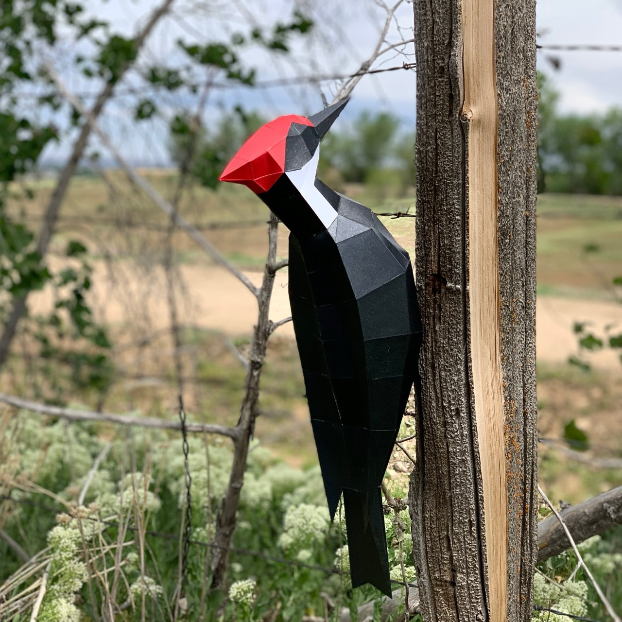 Pileated Woodpecker 3D Paper Craft Model