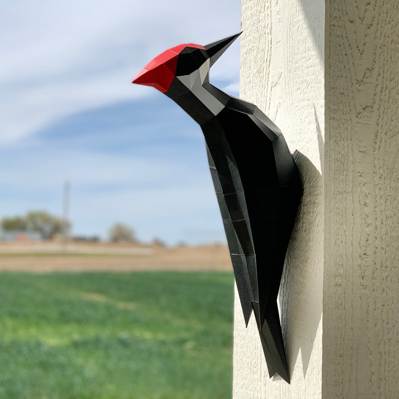 Pileated Woodpecker 3D Paper Craft Model