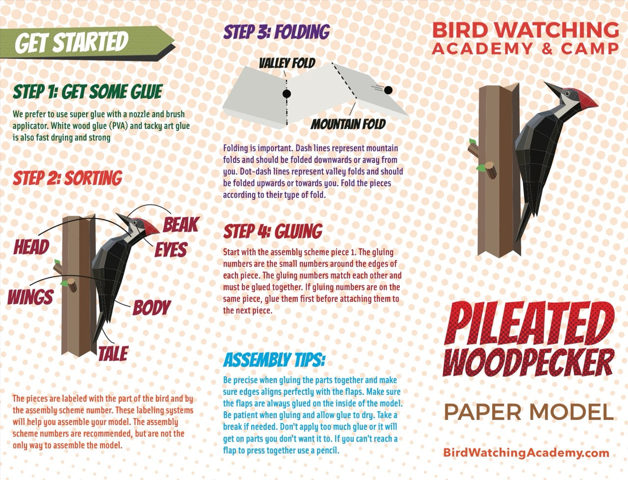 Pileated Woodpecker 3D Paper Craft Model