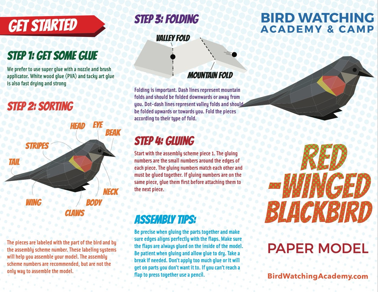 Red-winged Blackbird 3D Paper Craft Model