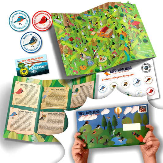 12 Week Educational Bird Program for Kids with 36 Patches