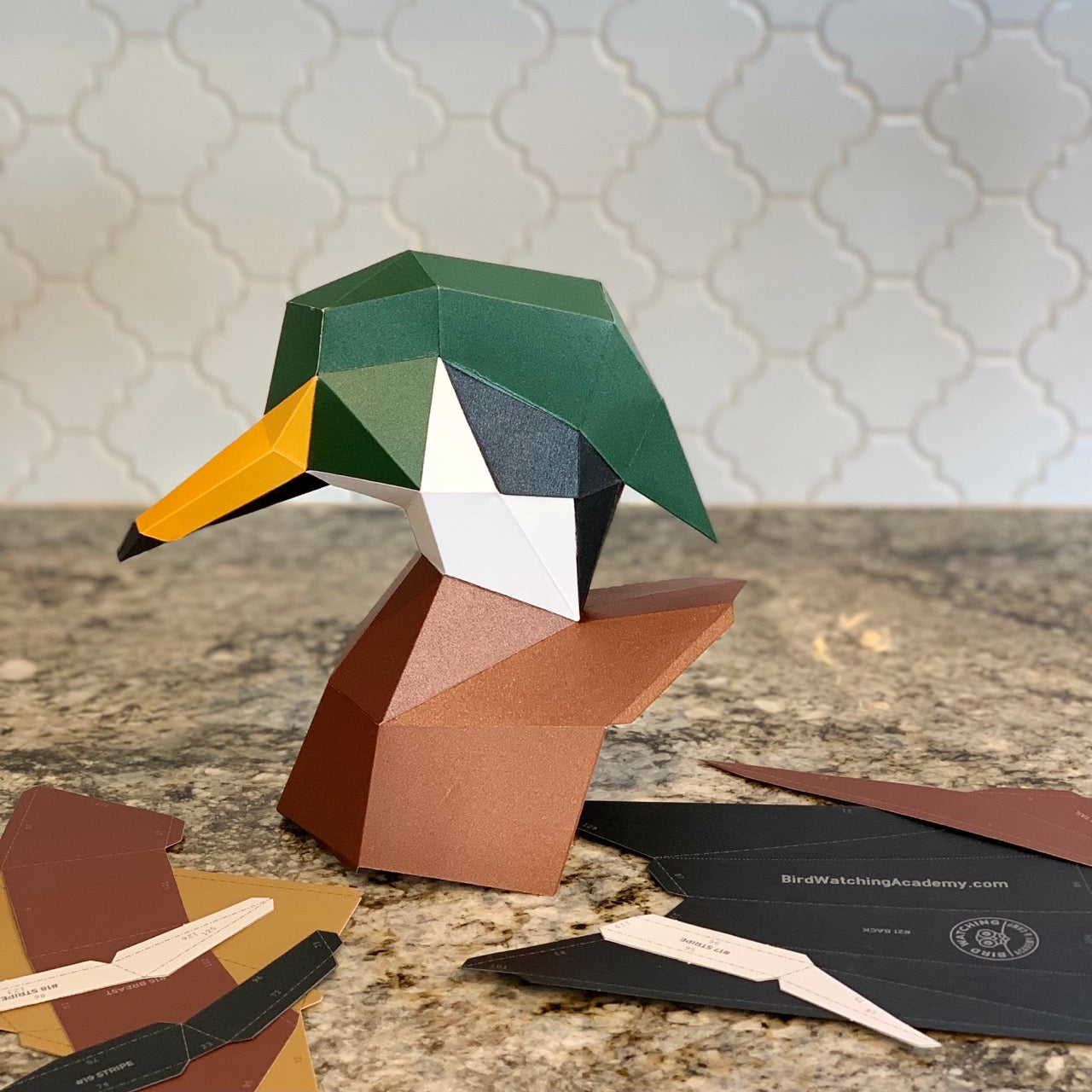Wood Duck 3D Paper Craft Model