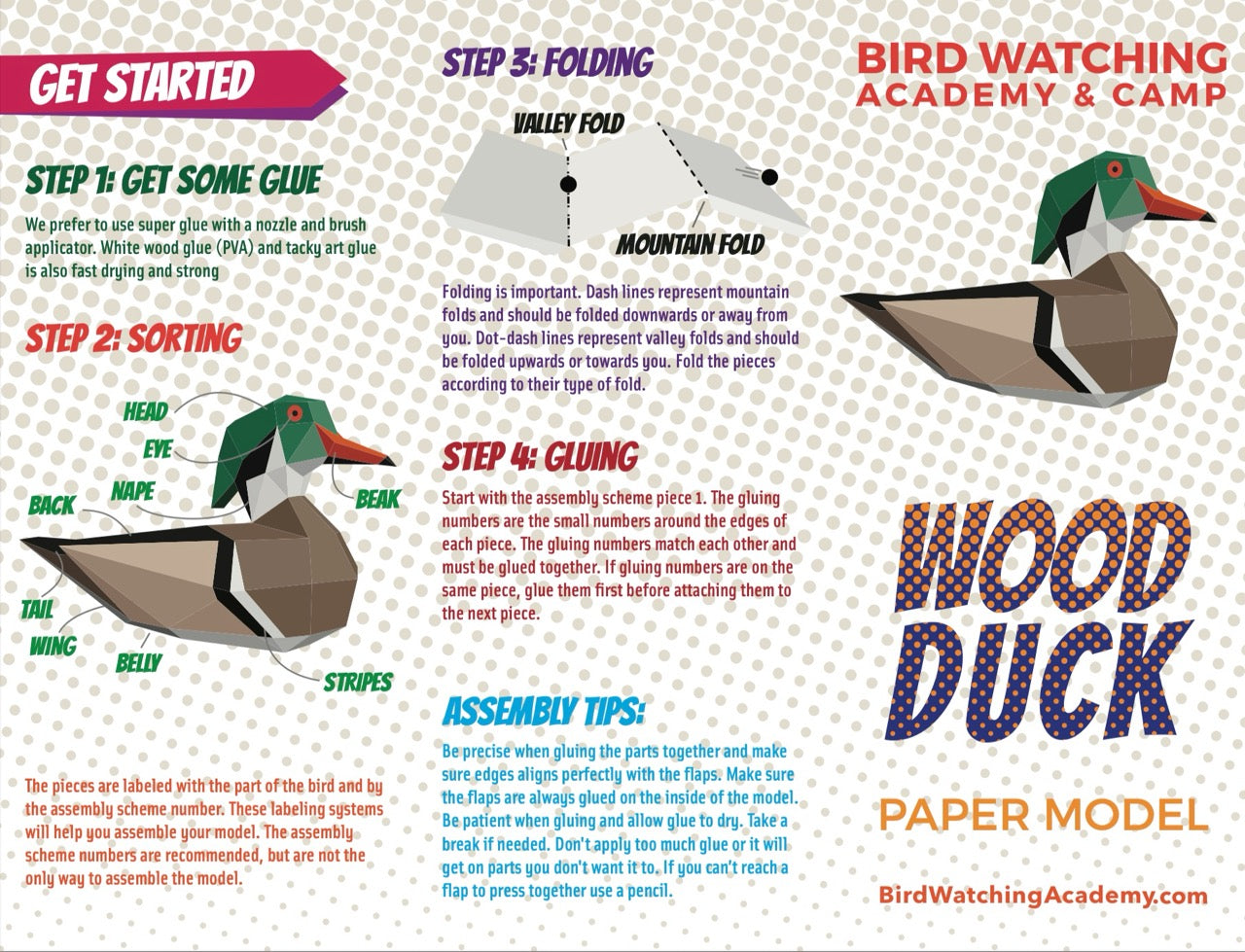 Wood Duck 3D Paper Craft Model